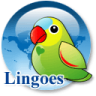 ديکشنري Lingoes به همراه واژه نامه تخصصي حقوقي 5 هزار لغتي انگليسي به فارسي