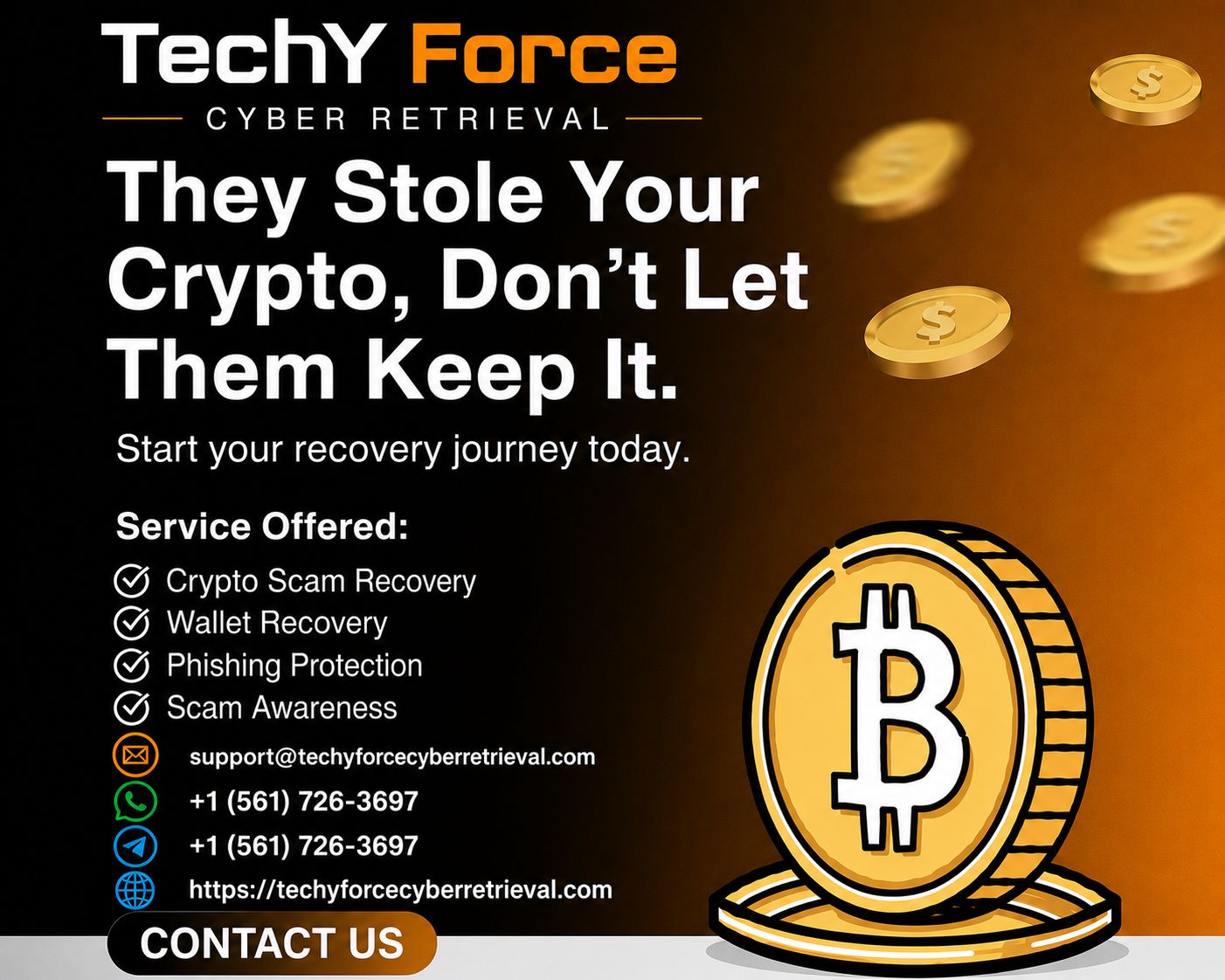 Best Recovery Services for Lost, Hacked, and Stolen Cryptocurrency With TechY Force Cyber Ret...jpeg