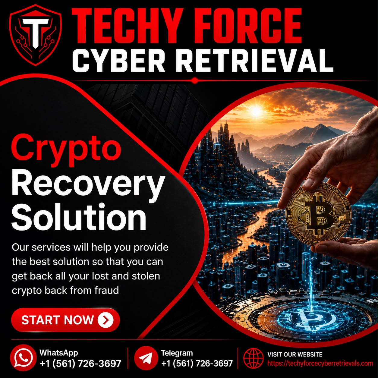 Professional Cryptocurrency Recovery with No Upfront Fees.jpeg