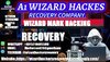 MARK WIZARD HACHERS RECOVERY - 876.jpg