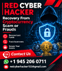 Red Cyber Hacker Poster.png
