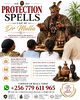 Family Protection Spells by Dr Mulla.png