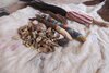 Sangoma bones.jpg