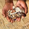MAMA ZAINABU TRADITIONAL HEALER.jpg
