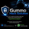 Gummo Hack Solution.jpg