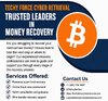 Ultimate Guide To The Best Bitcoin Recovery Expert For Stolen Cryptocurrency.jpeg