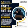 TECHY FORCE CYBER RETRIEVAL’s Expert Blockchain Investigation Services for Cryptocurrency Rec...jpeg
