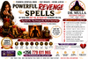 Instant Working Revenge Spells Rituals by Dr. Mulla.png