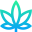 stevemedsstore.com