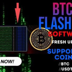 globalflashhubs.com