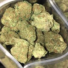 stevemedsstore.com